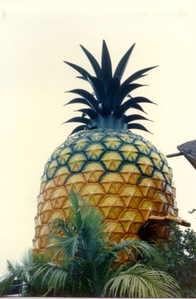 Iso ananas -teemapuisto. Kuvan otti Pivi Malo